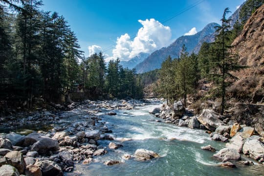 manali-nature (Himachal Pradesh)